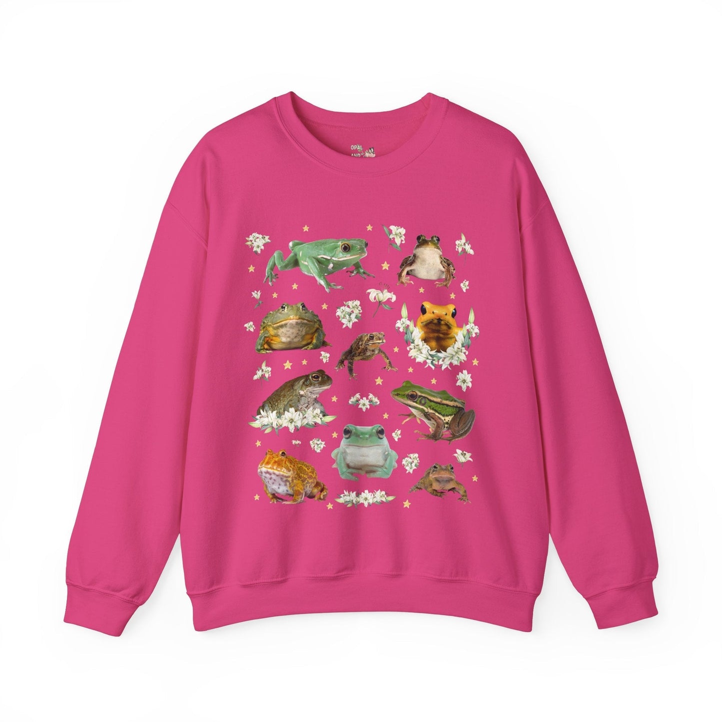 Weirdcore Frog Sweatshirt