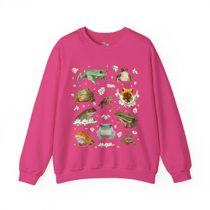 Weirdcore Frog Sweatshirt