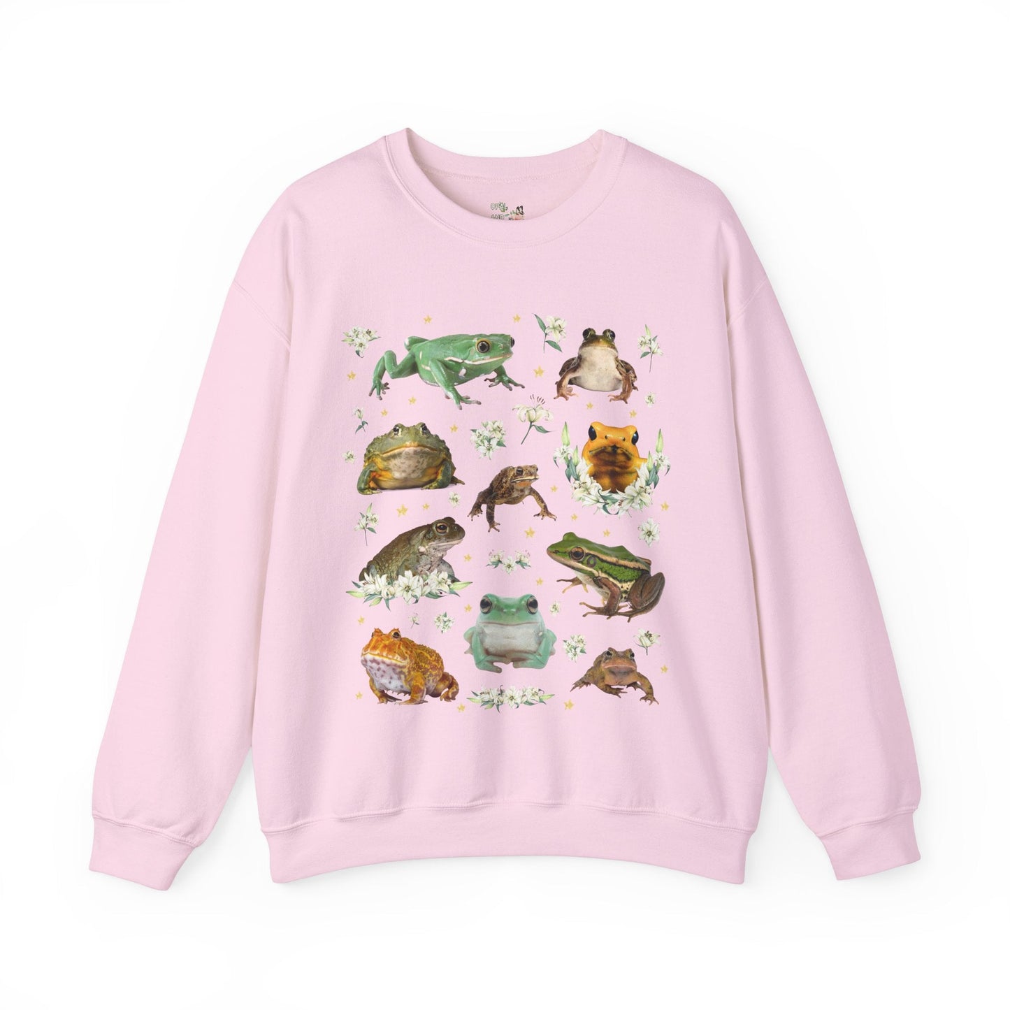 Weirdcore Frog Sweatshirt