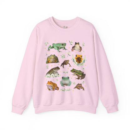 Weirdcore Frog Sweatshirt