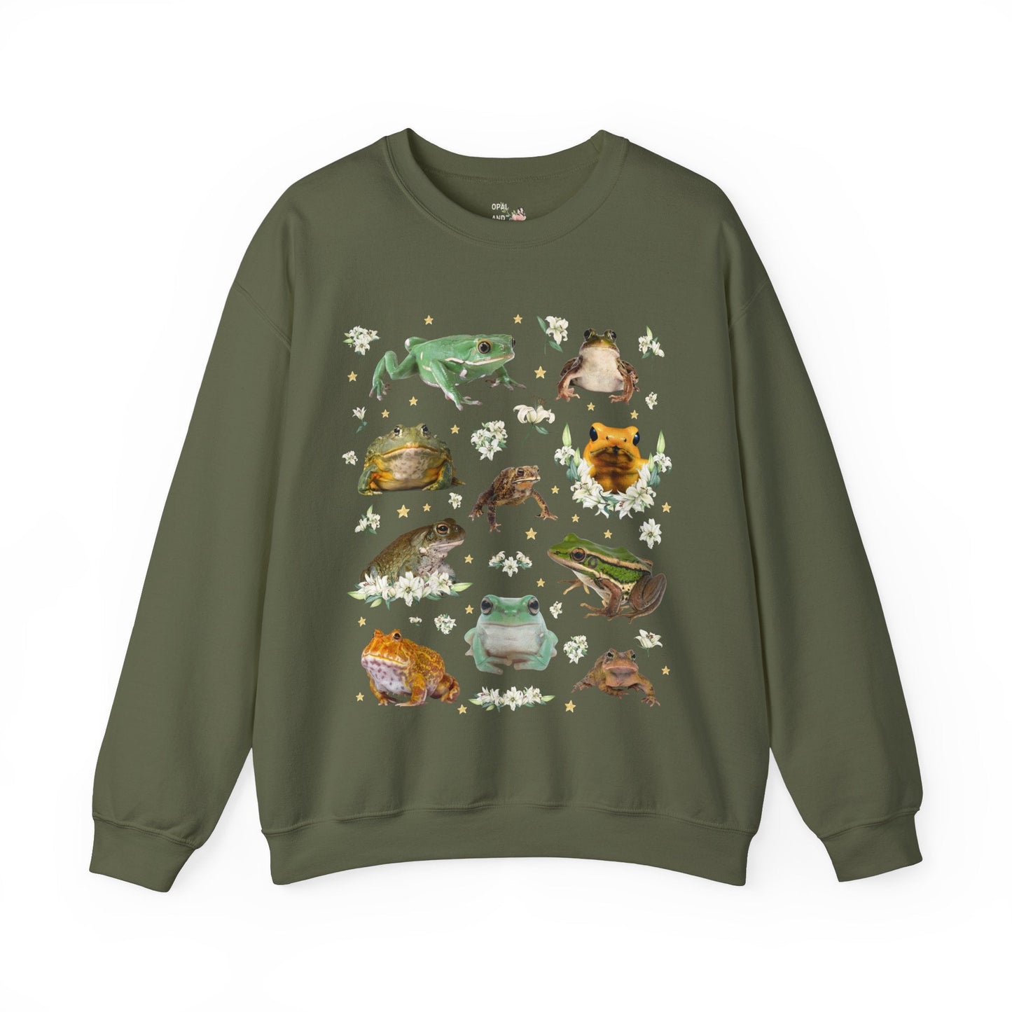Weirdcore Frog Sweatshirt