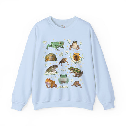 Weirdcore Frog Sweatshirt