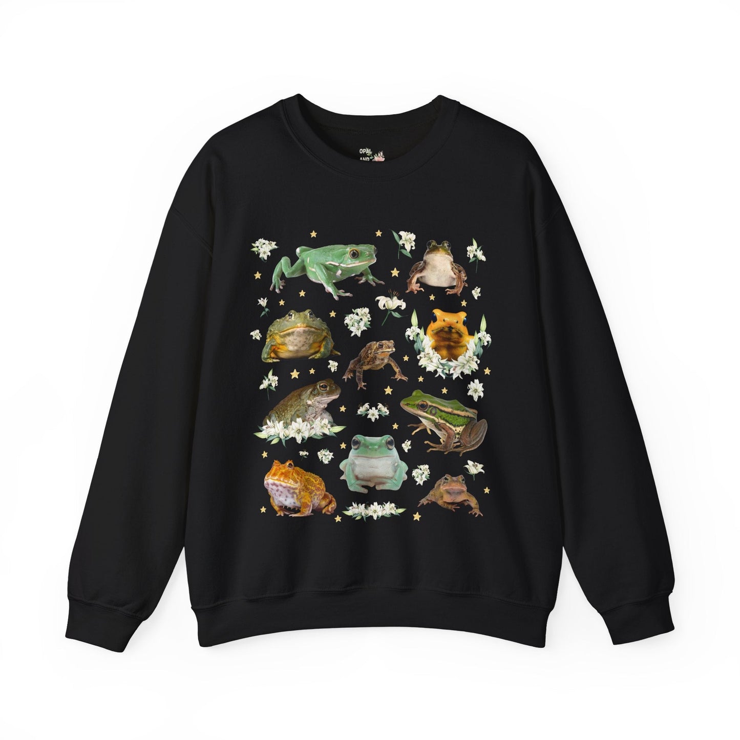 Weirdcore Frog Sweatshirt