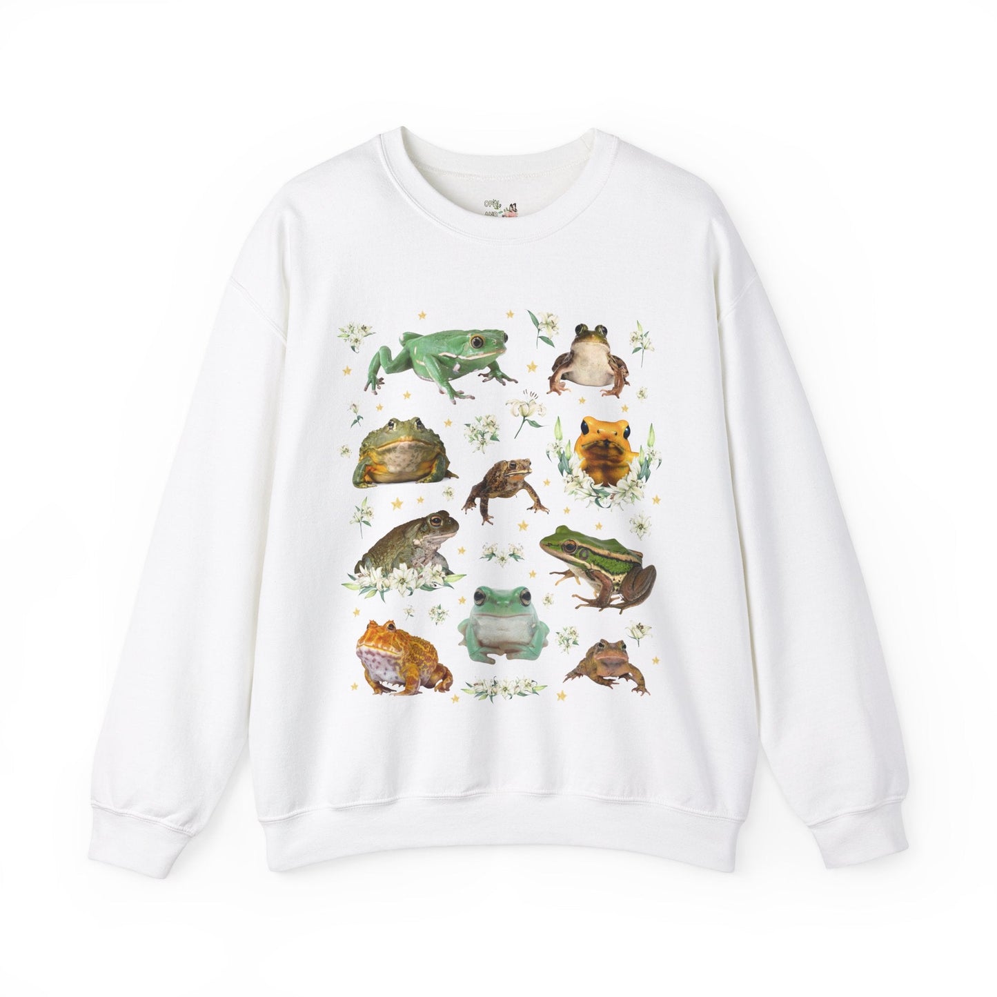 Weirdcore Frog Sweatshirt
