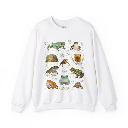 Weirdcore Frog Sweatshirt